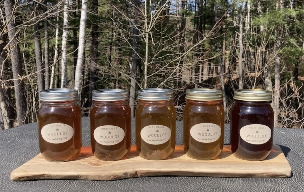 Five mason jars of High Falls Woodlot maple syrup arranged on a live-edge wood slab in front of a bare northern forest, showing the natural color range from light golden to deep amber.